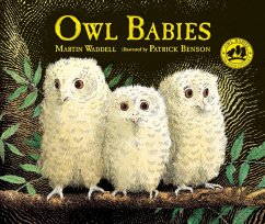 Owl Babies von Candlewick Press (MA)